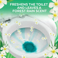 Lysol Toilet Bowl Cleaner Gel, For Cleaning and Disinfecting, Stain Removal, Forest Rain Scent, 24oz (Pack of 2)