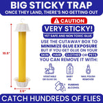 Fly Stick Sticky Fly Traps for Indoors Outdoor 6pk. Non-Toxic Super Sticky Hanging Flies Catcher Paper Tape Strips for Home. Catches All Bugs and gnats. Indoor Outdoor House Flying Insect Trap