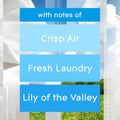 Glade PlugIns Refills Air Freshener, Scented and Essential Oils for Home and Bathroom, Clean Linen, 6.7 Fl Oz, 10 Count (Packaging May Vary)