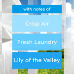Glade PlugIns Refills Air Freshener, Scented and Essential Oils for Home and Bathroom, Clean Linen, 6.7 Fl Oz, 10 Count (Packaging May Vary)