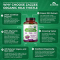 Zazzee USDA Organic Milk Thistle 30:1 Extract, 80% Silymarin, 120 Vegan Capsules, 4 Month Supply, Certified Kosher, High Potency Liver & Antioxidant Support, Silybum Marianum, Non-GMO, Made in the USA