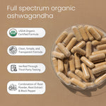 NaturaLife Labs Organic Ashwagandha 2100 mg per Serving – Full Spectrum Root Powder and Standardized Extract (Withanolides) – 100 Capsules – Vegan – Non-GMO, Gluten-Free