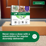 Advantage II Large Cat Vet-Recommended Flea Treatment & Prevention | Cats Over 9 lbs. | 1-Month Supply