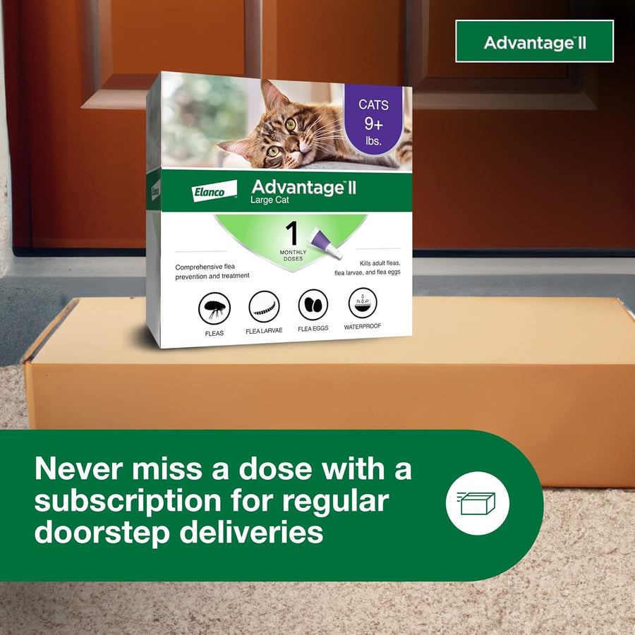 Advantage II Large Cat Vet-Recommended Flea Treatment & Prevention | Cats Over 9 lbs. | 1-Month Supply