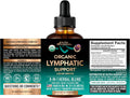USDA Organic Lymphatic Drainage Supplement - Echinacea | Elderberry | Dandelion | Rosehip | Cleavers | Calendula | Burdock - Lab Tested - Lymph System Drops - Immune Support, Cleanse & Detox, 2 fl oz