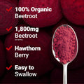 Force Factor Total Beets Blood Pressure Support Beet Root Capsules, 1800mg Organic Beet Root Powder Beet Supplement with Hawthorn Berry to Support Circulation and Blood Flow, 90 Vegetable Capsules