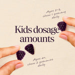 Nature's Way Sambucus Kids Elderberry Immune Gummies with Black Elderberry Extract, Daily Immune Support Gummy with Vitamin C and Zinc for Children Ages 2+*, 60 Gummies