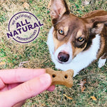 Old Mother Hubbard Wellness P-Nuttier Dog Biscuits, Natural, Training Treats, Peanut Butter Flavor, Mini Size, (6 Pound Box)