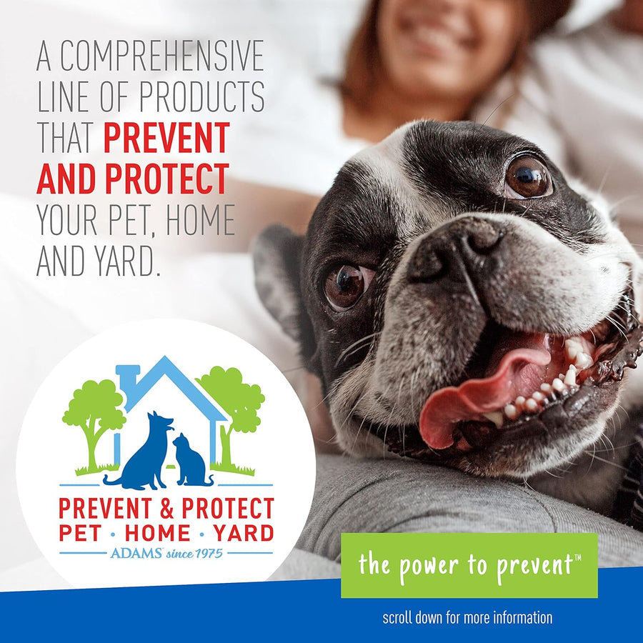 Plus Flea & Tick Shampoo with Precor for Cats, Kittens, Dogs & Puppies Over 12 Weeks Of Age Sensitive Skin Flea Treatment | Kills Adult Fleas, Flea Eggs, Ticks, and Lice| 12 Ounces