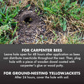 Spectracide Carpenter Bee and Ground Nesting Yellow Jacket Foaming Aerosol, 16-Ounce