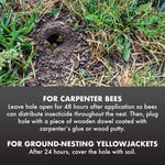Spectracide Carpenter Bee and Ground Nesting Yellow Jacket Foaming Aerosol, 16-Ounce