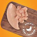 Dog Treats, Chicken Jerky for Dogs, Made with 100% Real Chicken Breast, 16 Ounces, Healthy, Easily Digestible, Long-Lasting, High Protein Dog Treat, Satisfies Dog's Urge to Chew (Pack of 1)