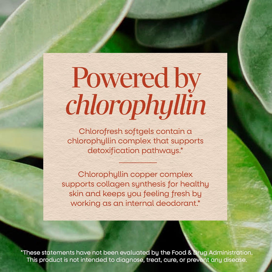 Nature's Way Chlorofresh Chlorophyll Concentrate Softgels, Chlorophyllin Copper Complex, Internal Deodorant Supplement, Supports Healthy Skin and Detox Pathways*, 90 Softgels (Packaging May Vary)
