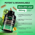 Mullein Lung Detox Supplement with Mullein Leaf 10:1 Extract and 15-in-1 Lung Support