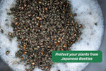 RESCUE! Japanese Beetle Trap – Reusable Bag - 2 Traps
